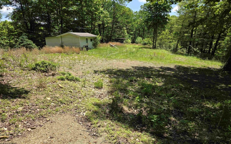 1271 Big Mill Run Road, Parsons, West Virginia 26287, 0 , 0 ,0,Lots/land,For Sale,Big Mill Run,0,10167050