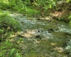 1271 Big Mill Run Road, Parsons, West Virginia 26287, 0 , 0 ,0,Lots/land,For Sale,Big Mill Run,0,10167050