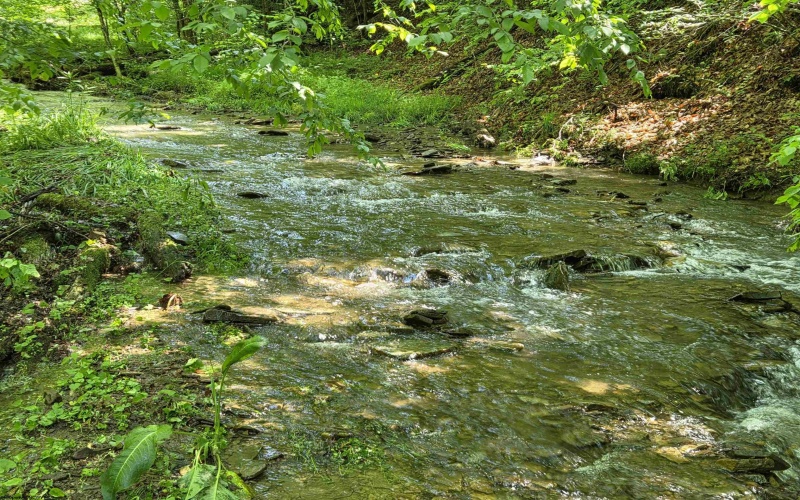 1271 Big Mill Run Road, Parsons, West Virginia 26287, 0 , 0 ,0,Lots/land,For Sale,Big Mill Run,0,10167050