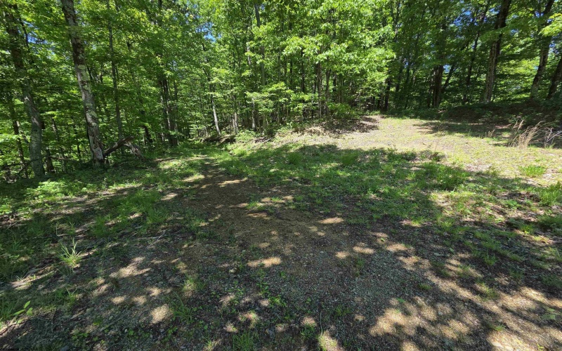 1271 Big Mill Run Road, Parsons, West Virginia 26287, 0 , 0 ,0,Lots/land,For Sale,Big Mill Run,0,10167050
