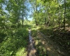 1271 Big Mill Run Road, Parsons, West Virginia 26287, 0 , 0 ,0,Lots/land,For Sale,Big Mill Run,0,10167050