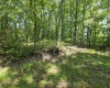 1271 Big Mill Run Road, Parsons, West Virginia 26287, 0 , 0 ,0,Lots/land,For Sale,Big Mill Run,0,10167050