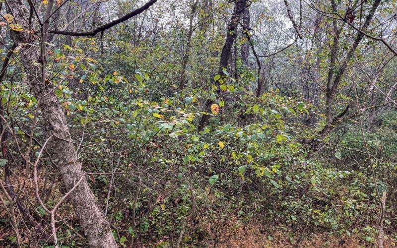 Lot 1 Pickhandle Hill Road, Morgantown, West Virginia 26501, 0 , 0 ,0,Lots/land,For Sale,Pickhandle Hill,0,10161871