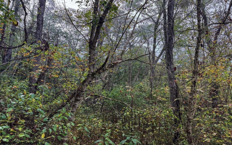 Lot 1 Pickhandle Hill Road, Morgantown, West Virginia 26501, 0 , 0 ,0,Lots/land,For Sale,Pickhandle Hill,0,10161871