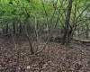 Lot 1 Pickhandle Hill Road, Morgantown, West Virginia 26501, 0 , 0 ,0,Lots/land,For Sale,Pickhandle Hill,0,10161871