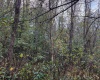 Lot 1 Pickhandle Hill Road, Morgantown, West Virginia 26501, 0 , 0 ,0,Lots/land,For Sale,Pickhandle Hill,0,10161871