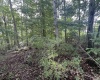 TBD McDonald Street, Kingwood, West Virginia 26537, 0 , 0 ,0,Lots/land,For Sale,McDonald,0,10167055