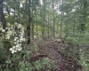TBD McDonald Street, Kingwood, West Virginia 26537, 0 , 0 ,0,Lots/land,For Sale,McDonald,0,10167055