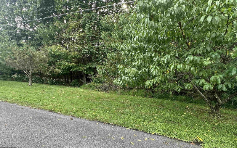 TBD McDonald Street, Kingwood, West Virginia 26537, 0 , 0 ,0,Lots/land,For Sale,McDonald,0,10167055