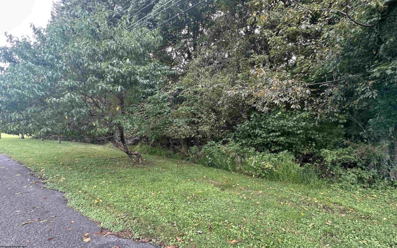 TBD McDonald Street, Kingwood, West Virginia 26537, 0 , 0 ,0,Lots/land,For Sale,McDonald,0,10167055