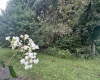 TBD McDonald Street, Kingwood, West Virginia 26537, 0 , 0 ,0,Lots/land,For Sale,McDonald,0,10167055