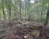 TBD McDonald Street, Kingwood, West Virginia 26537, 0 , 0 ,0,Lots/land,For Sale,McDonald,0,10167055
