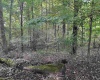 TBD McDonald Street, Kingwood, West Virginia 26537, 0 , 0 ,0,Lots/land,For Sale,McDonald,0,10167055