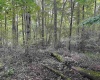 TBD McDonald Street, Kingwood, West Virginia 26537, 0 , 0 ,0,Lots/land,For Sale,McDonald,0,10167055