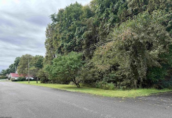 TBD McDonald Street, Kingwood, West Virginia 26537, 0 , 0 ,0,Lots/land,For Sale,McDonald,0,10167055