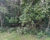 TBD McDonald Street, Kingwood, West Virginia 26537, 0 , 0 ,0,Lots/land,For Sale,McDonald,0,10167055