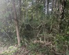 TBD McDonald Street, Kingwood, West Virginia 26537, 0 , 0 ,0,Lots/land,For Sale,McDonald,0,10167055
