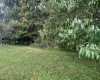 TBD McDonald Street, Kingwood, West Virginia 26537, 0 , 0 ,0,Lots/land,For Sale,McDonald,0,10167055