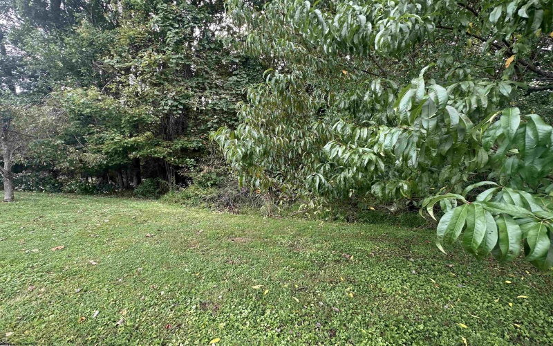 TBD McDonald Street, Kingwood, West Virginia 26537, 0 , 0 ,0,Lots/land,For Sale,McDonald,0,10167055