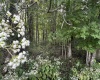 TBD McDonald Street, Kingwood, West Virginia 26537, 0 , 0 ,0,Lots/land,For Sale,McDonald,0,10167055