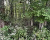TBD McDonald Street, Kingwood, West Virginia 26537, 0 , 0 ,0,Lots/land,For Sale,McDonald,0,10167055