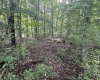 TBD McDonald Street, Kingwood, West Virginia 26537, 0 , 0 ,0,Lots/land,For Sale,McDonald,0,10167055