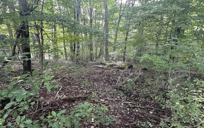 TBD McDonald Street, Kingwood, West Virginia 26537, 0 , 0 ,0,Lots/land,For Sale,McDonald,0,10167055