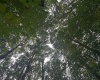 TBD McDonald Street, Kingwood, West Virginia 26537, 0 , 0 ,0,Lots/land,For Sale,McDonald,0,10167055