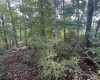 TBD McDonald Street, Kingwood, West Virginia 26537, 0 , 0 ,0,Lots/land,For Sale,McDonald,0,10167055