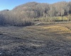 TBD Glory Barn Road, Morgantown, West Virginia 26501, 0 , 0 ,0,Lots/land,For Sale,Glory Barn,0,10161503 TBD Glory Barn Road, Morgantown, West Virginia 26501, 0 , 0 ,0,Lots/land,For Sale,Glory Barn,0,10161503