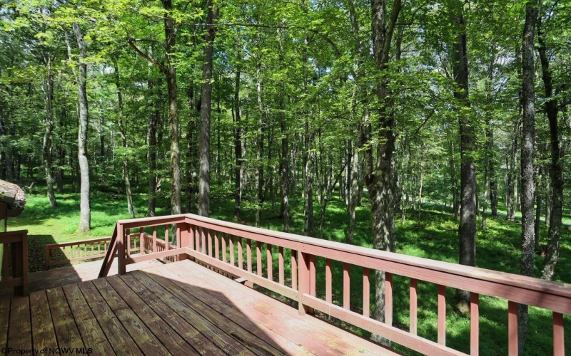 1002 Goldenrod Drive, Terra Alta, West Virginia 26764, 3 Bedroom Bedrooms, 11 Room Rooms,3 BathroomBathrooms,Single Family Detached,For Sale,Goldenrod,0,10167064