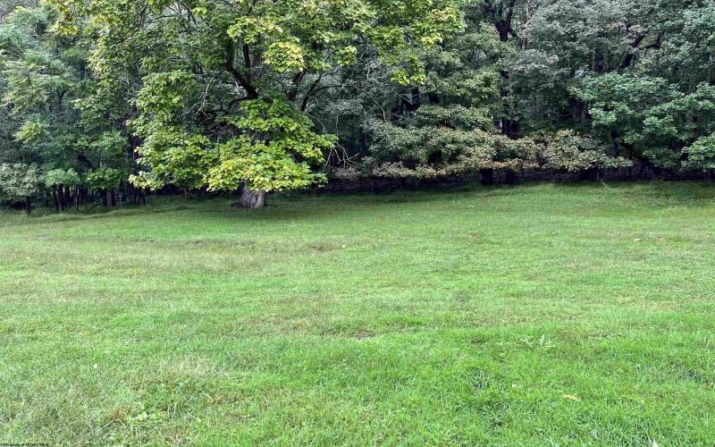 403 S Walnut Street, Philippi, West Virginia 26416, 3 Bedroom Bedrooms, 10 Room Rooms,1 BathroomBathrooms,Single Family Detached,For Sale,S Walnut,0,10167065 403 S Walnut Street, Philippi, West Virginia 26416, 3 Bedroom Bedrooms, 10 Room Rooms,1 BathroomBathrooms,Single Family Detached,For Sale,S Walnut,0,10167065