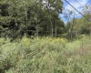 1955 LAZZELLE UNION Road, Maidsville, West Virginia 26541, 0 , 0 ,0,Lots/land,For Sale,LAZZELLE UNION,0,10167087