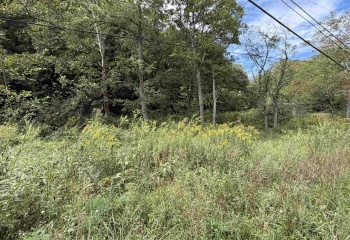 1955 LAZZELLE UNION Road, Maidsville, West Virginia 26541, 0 , 0 ,0,Lots/land,For Sale,LAZZELLE UNION,0,10167087