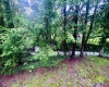 164 Marple Road, Valley Head, West Virginia 26294, 4 Bedroom Bedrooms, 8 Room Rooms,2 BathroomBathrooms,Single Family Detached,For Sale,Marple,0,10167075