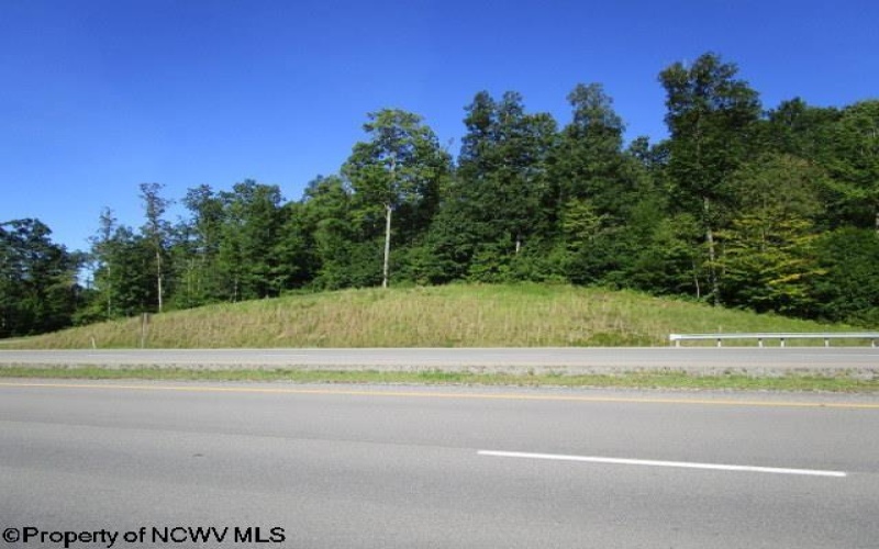 1303 Pheasant Mountain Road, Kerens, West Virginia 26276, 2 Bedroom Bedrooms, 4 Room Rooms,2 BathroomBathrooms,Single Family Detached,For Sale,Pheasant Mountain,0,10167077