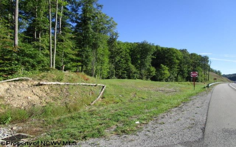 1303 Pheasant Mountain Road, Kerens, West Virginia 26276, 2 Bedroom Bedrooms, 4 Room Rooms,2 BathroomBathrooms,Single Family Detached,For Sale,Pheasant Mountain,0,10167077