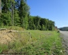 1303 Pheasant Mountain Road, Kerens, West Virginia 26276, 2 Bedroom Bedrooms, 4 Room Rooms,2 BathroomBathrooms,Single Family Detached,For Sale,Pheasant Mountain,0,10167077