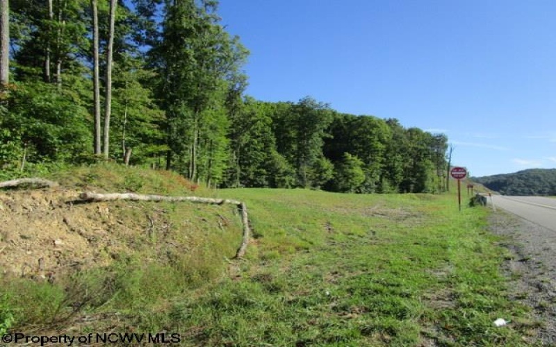 1303 Pheasant Mountain Road, Kerens, West Virginia 26276, 2 Bedroom Bedrooms, 4 Room Rooms,2 BathroomBathrooms,Single Family Detached,For Sale,Pheasant Mountain,0,10167077