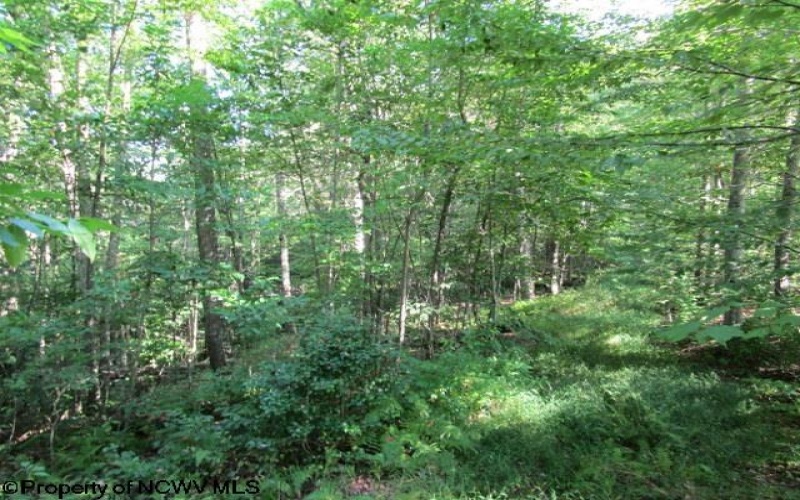 1303 Pheasant Mountain Road, Kerens, West Virginia 26276, 2 Bedroom Bedrooms, 4 Room Rooms,2 BathroomBathrooms,Single Family Detached,For Sale,Pheasant Mountain,0,10167077