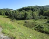 1303 Pheasant Mountain Road, Kerens, West Virginia 26276, 2 Bedroom Bedrooms, 4 Room Rooms,2 BathroomBathrooms,Single Family Detached,For Sale,Pheasant Mountain,0,10167077