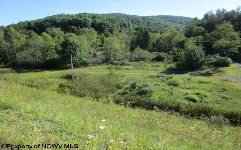 1303 Pheasant Mountain Road, Kerens, West Virginia 26276, 2 Bedroom Bedrooms, 4 Room Rooms,2 BathroomBathrooms,Single Family Detached,For Sale,Pheasant Mountain,0,10167077
