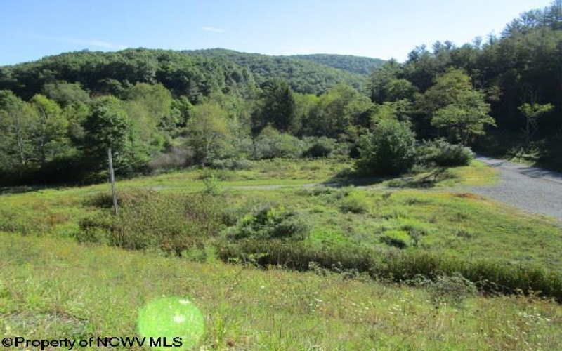 1303 Pheasant Mountain Road, Kerens, West Virginia 26276, 2 Bedroom Bedrooms, 4 Room Rooms,2 BathroomBathrooms,Single Family Detached,For Sale,Pheasant Mountain,0,10167077