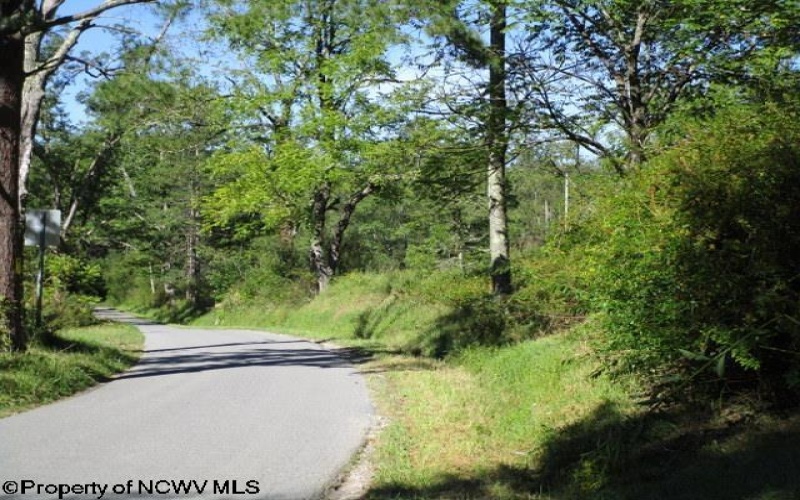 1303 Pheasant Mountain Road, Kerens, West Virginia 26276, 2 Bedroom Bedrooms, 4 Room Rooms,2 BathroomBathrooms,Single Family Detached,For Sale,Pheasant Mountain,0,10167077