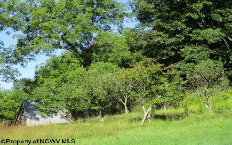 1303 Pheasant Mountain Road, Kerens, West Virginia 26276, 2 Bedroom Bedrooms, 4 Room Rooms,2 BathroomBathrooms,Single Family Detached,For Sale,Pheasant Mountain,0,10167077