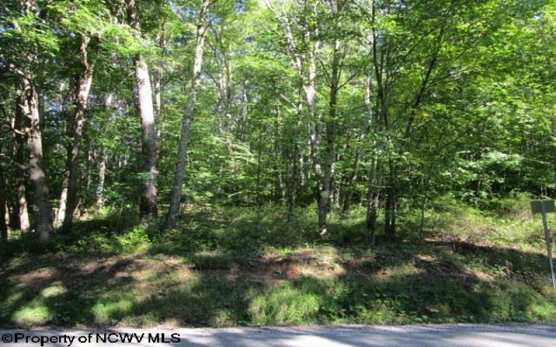 1303 Pheasant Mountain Road, Kerens, West Virginia 26276, 2 Bedroom Bedrooms, 4 Room Rooms,2 BathroomBathrooms,Single Family Detached,For Sale,Pheasant Mountain,0,10167077
