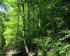 1303 Pheasant Mountain Road, Kerens, West Virginia 26276, 2 Bedroom Bedrooms, 4 Room Rooms,2 BathroomBathrooms,Single Family Detached,For Sale,Pheasant Mountain,0,10167077