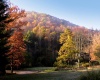 1303 Pheasant Mountain Road, Kerens, West Virginia 26276, 2 Bedroom Bedrooms, 4 Room Rooms,2 BathroomBathrooms,Single Family Detached,For Sale,Pheasant Mountain,0,10167077