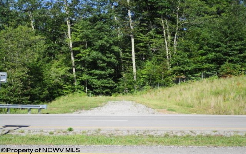 1303 Pheasant Mountain Road, Kerens, West Virginia 26276, 2 Bedroom Bedrooms, 4 Room Rooms,2 BathroomBathrooms,Single Family Detached,For Sale,Pheasant Mountain,0,10167077