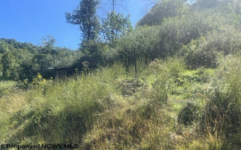 167 Penny Lane, Salem, West Virginia 26426, 3 Bedroom Bedrooms, 3 Room Rooms,2 BathroomBathrooms,Single Family Detached,For Sale,Penny,0,10167086